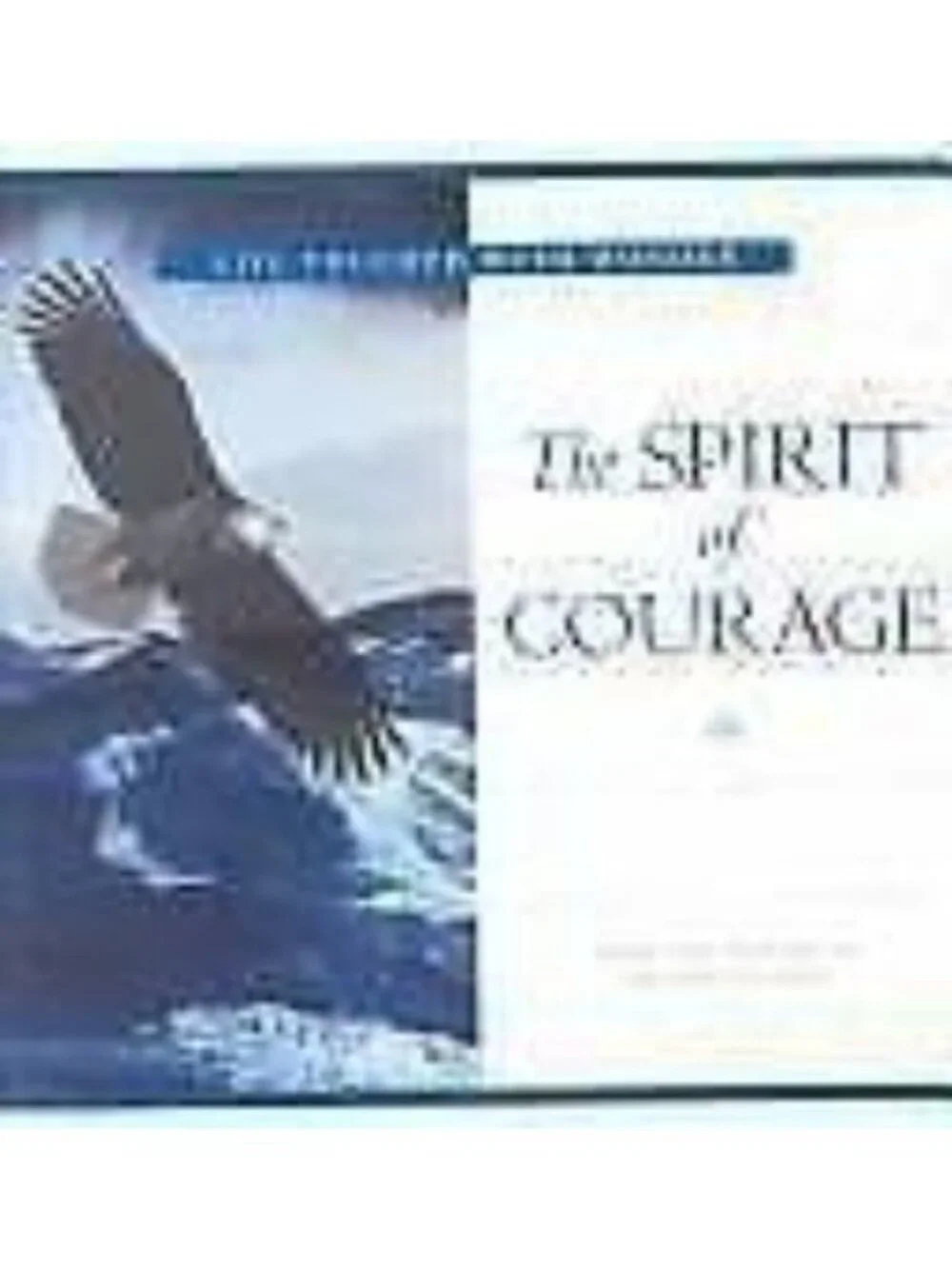 Vintage The SPIRIT Of COURAGE READERS DIGEST Hardcover Book Brand New 2000